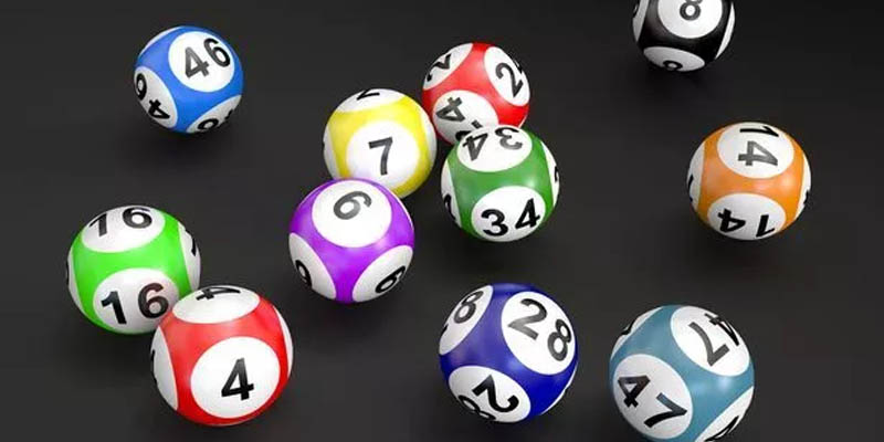 Chiến lược nuôi lô 7 ngày thành công